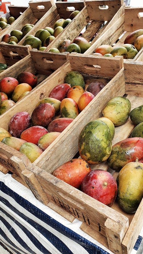 Free stock photo of bazaar, fruit, fruit stand