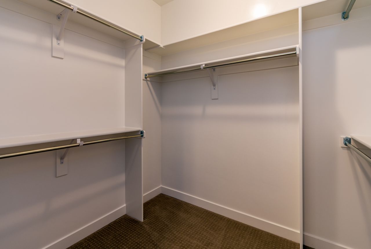 Storage & moves to storage Felling — removals work in progress