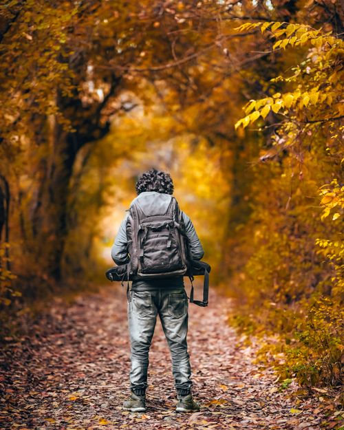 Free A solitary backpacker walking through a colorful fall forest trail, capturing the essence of adventure and nature. Stock Photo