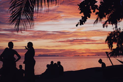 Silhouette of People Near The Sea