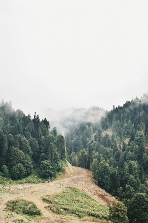 Free Scenic Drone Shot of the Wilderness Stock Photo