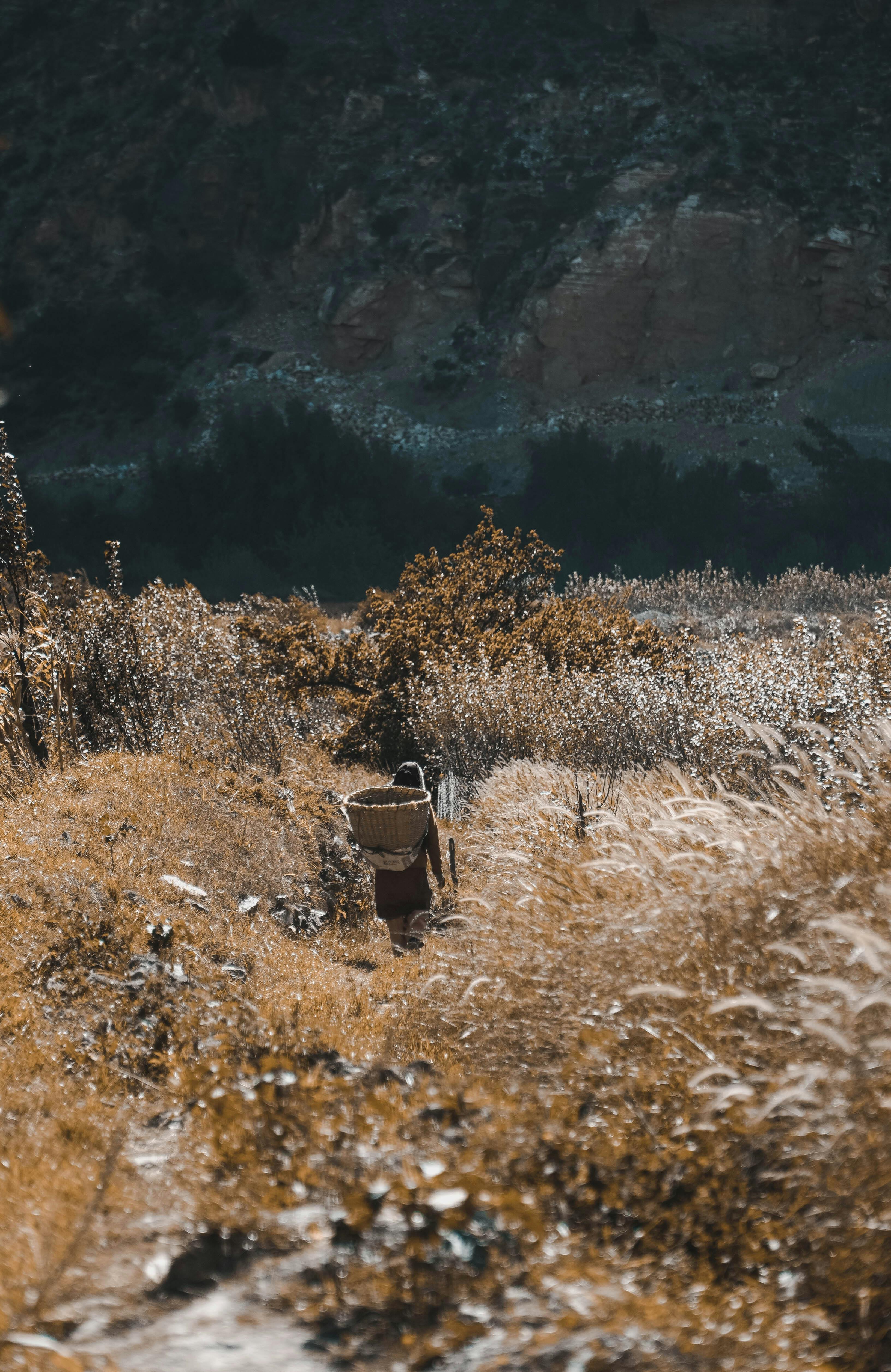 back view of a woman carrying a basket in dry grass field