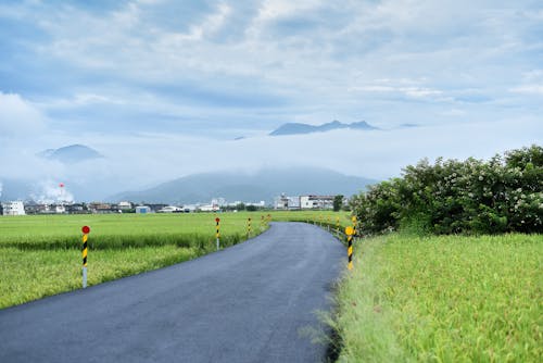 Free Road Surround by Green Grass Stock Photo
