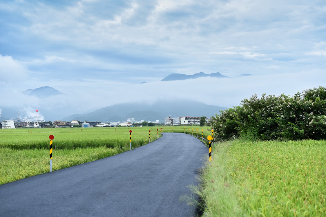 绿草环绕的道路