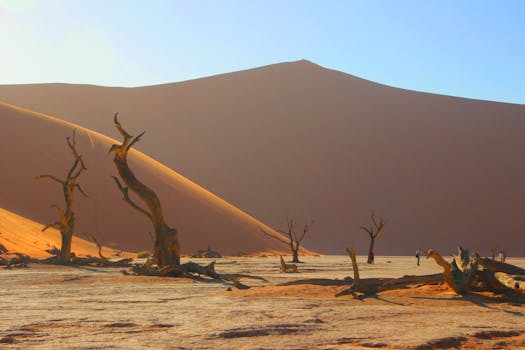 Sossusvlei, Namibia photo 5