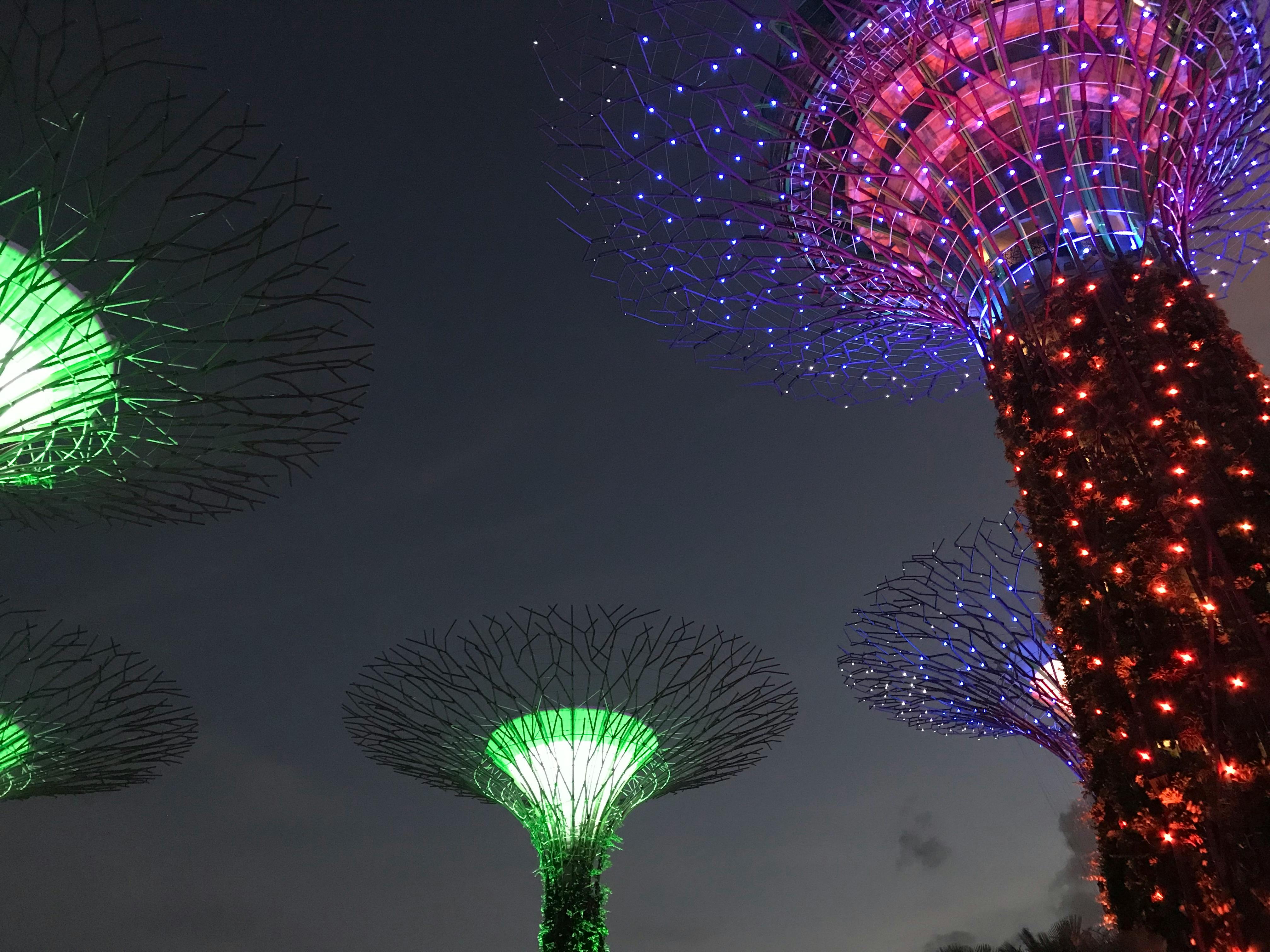 Free stock photo of gardens by the bay, illuminated, singapore
