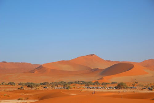 Dunes of Desert