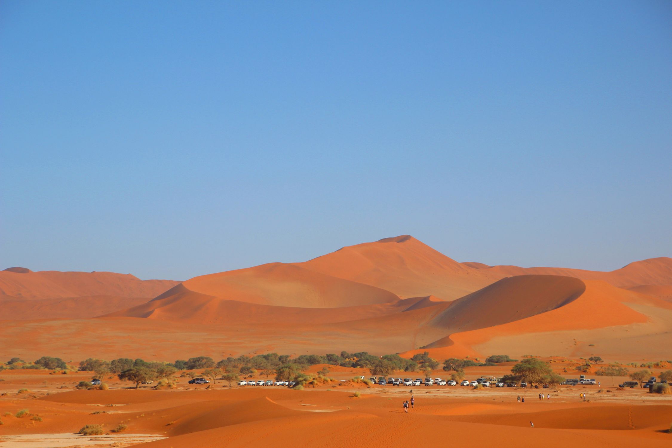 Photo gratuite de afrique, aride, aventure, beauté absolue, célèbre ...