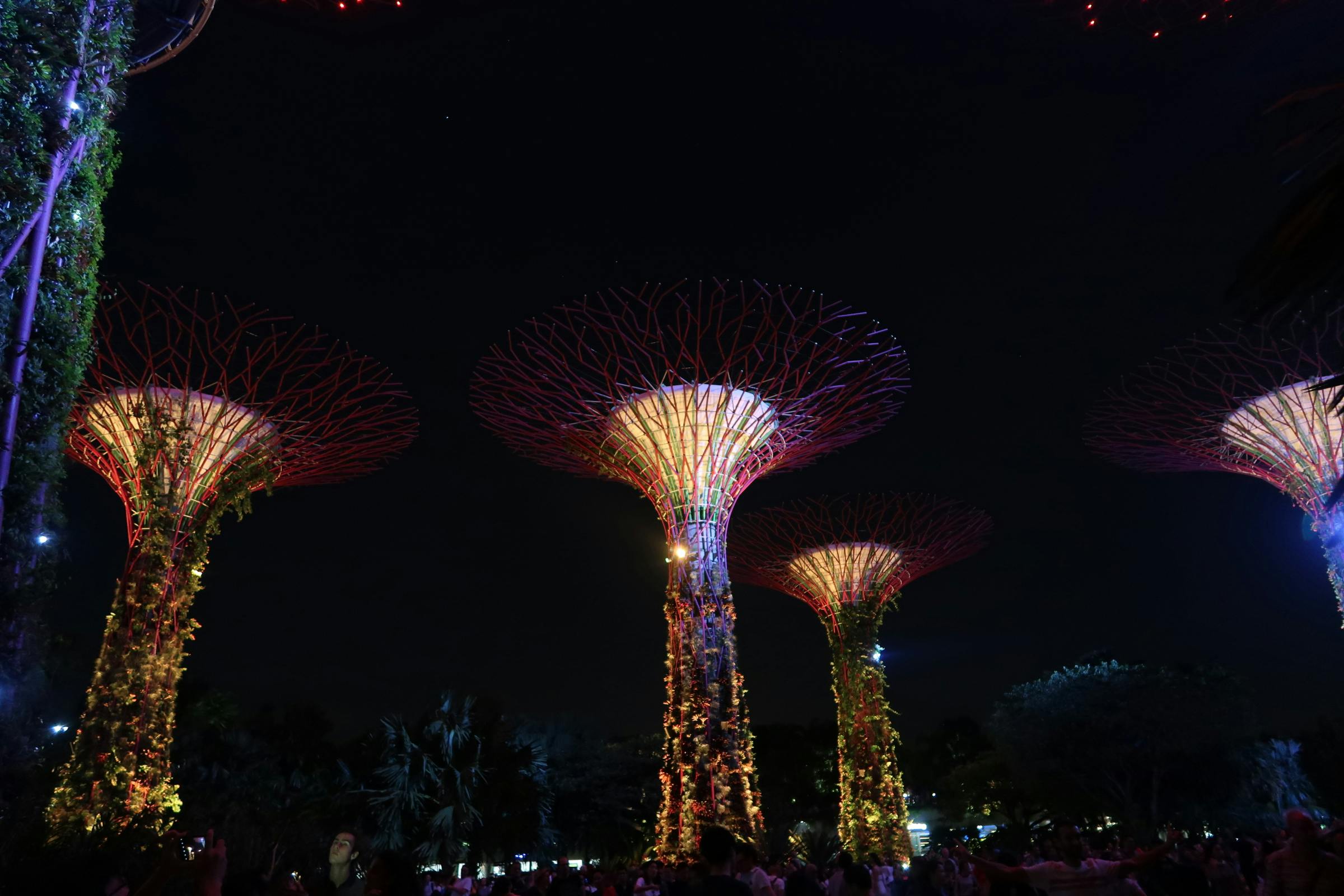 Free stock photo of gardens by the bay, illuminated, singapore