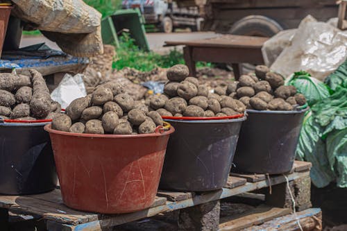 Безкоштовне стокове фото на тему «pommes de terre, вуличний ринок, обмін»
