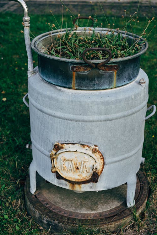 Rusty Metal Barrel with a Plant Growing Out of It 