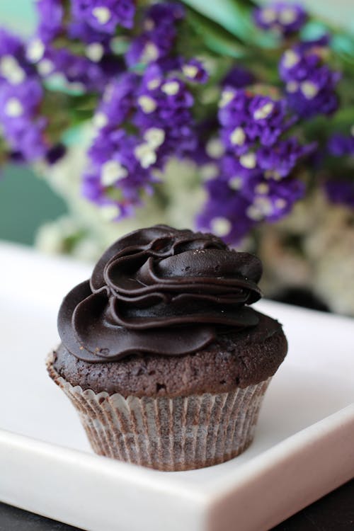 무료 초콜릿 컵케익의 클로즈업 사진 스톡 사진