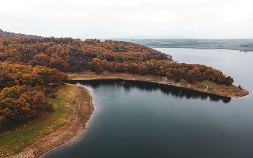 ağaçlar, bitki örtüsü, drone çekimi içeren Ücretsiz stok fotoğraf