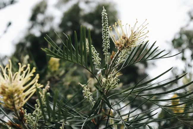 Stop Guessing: The 15-Step Action Plan for Ecological Gardening