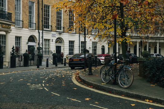 Charming autumn scene of bicycles under leafy trees on a London street, enhancing a classic urban vibe.