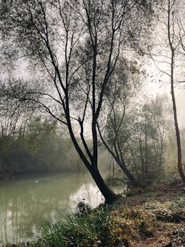 Tranquil riverside scene with mist-covered trees and calm water reflecting a peaceful atmosphere.