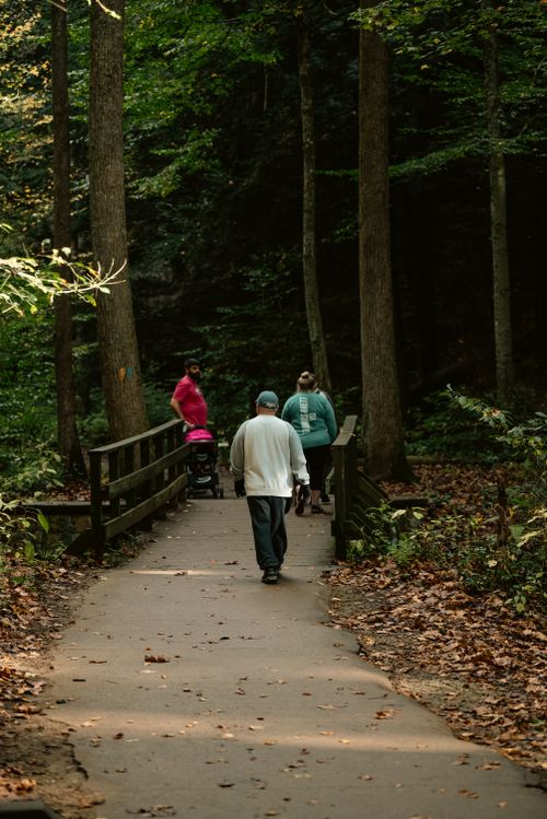 Free People walking on a scenic forest trail during autumn, surrounded by lush greenery and fallen leaves. Stock Photo