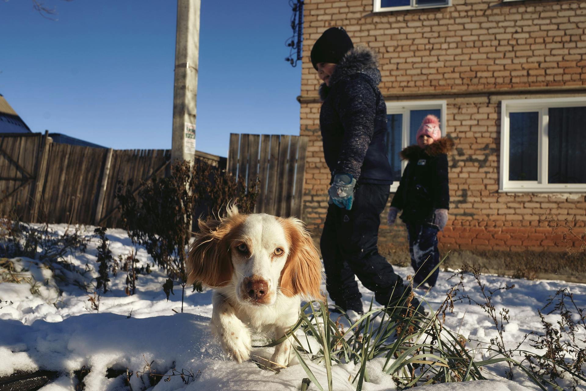 Kids Playing on the Snow Covered Ground Along with Their Dog Near a Brick House