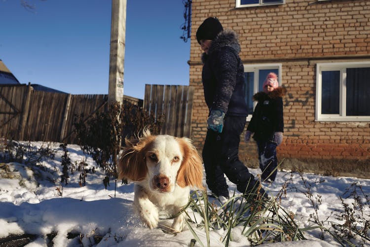 Kids Playing On The Snow Covered Ground Along With Their Dog Near A Brick House