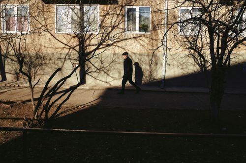 Free A man in a black outfit walks along a street with striking shadows cast by bare trees. Stock Photo