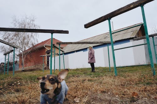 Бесплатное стоковое фото с деревни, деревня, дома