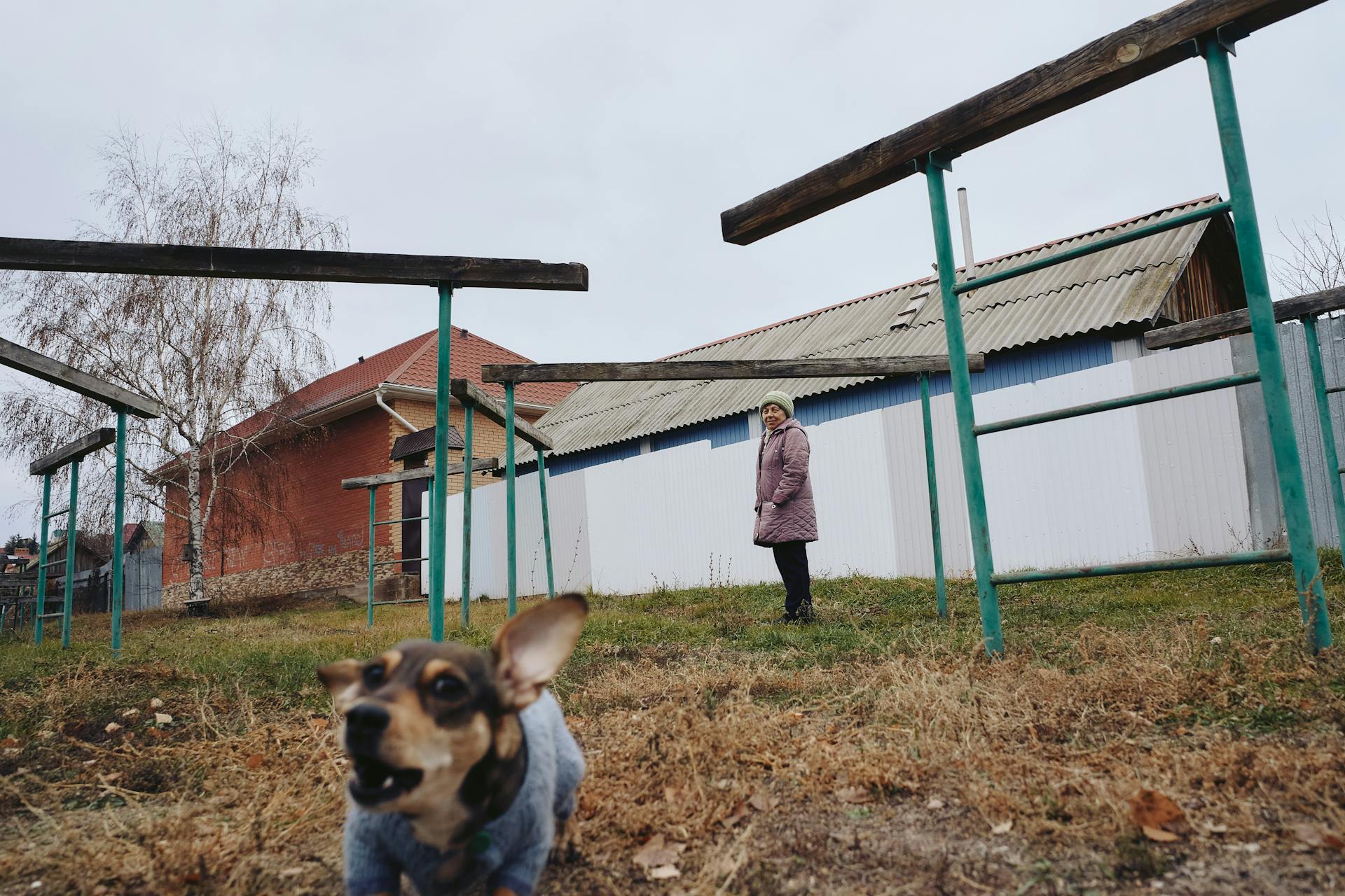 Dog and Woman in Village