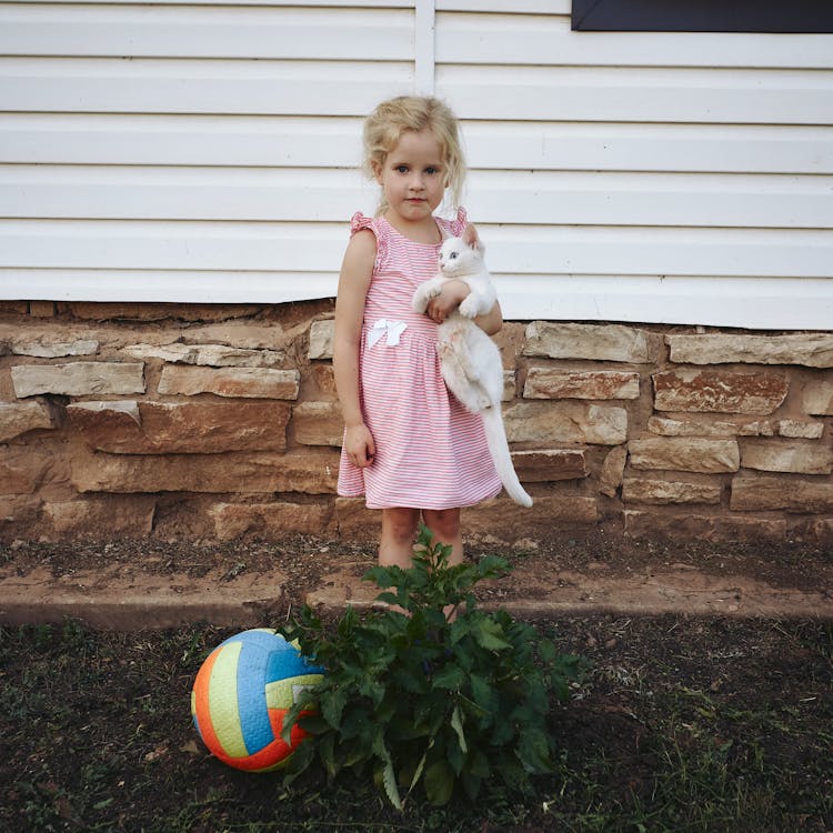 A Little Girl Holding A Cat