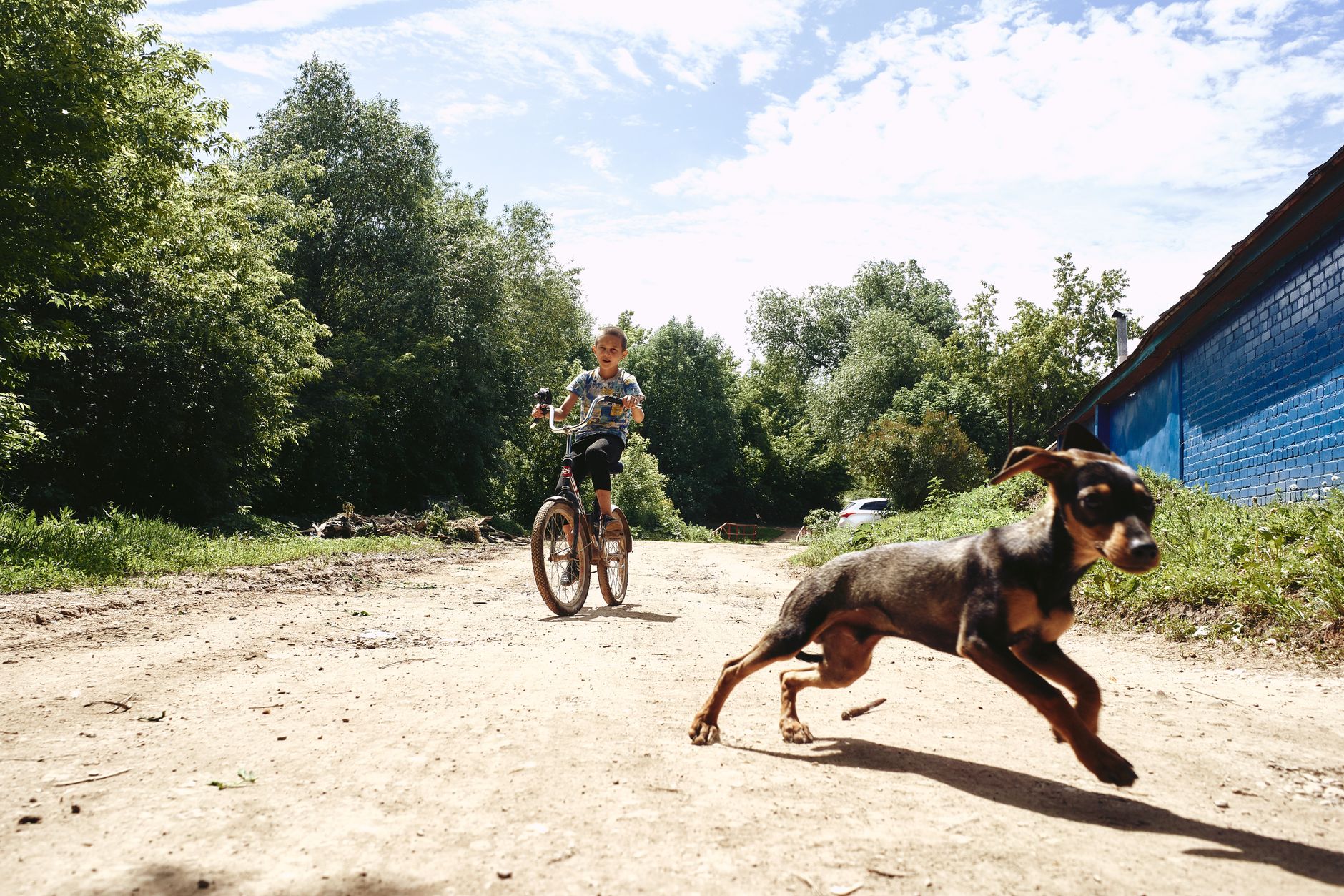 A boy rides his bike on a dirt road with his playful dog running alongside in a sunny countryside setting.