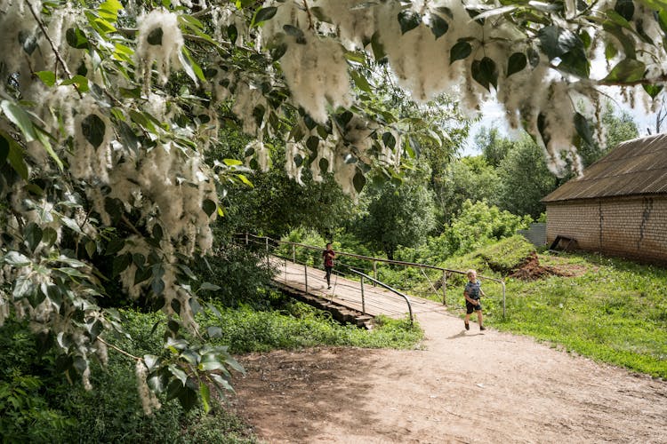 Kids Running Down A Bridge