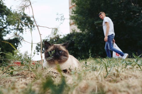 Miễn phí Ảnh lưu trữ miễn phí về ánh sáng mặt trời, bắt mắt, bình yên Ảnh lưu trữ