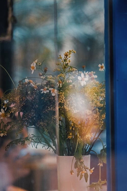꽃다발, 꽃병, 반사의 무료 스톡 사진