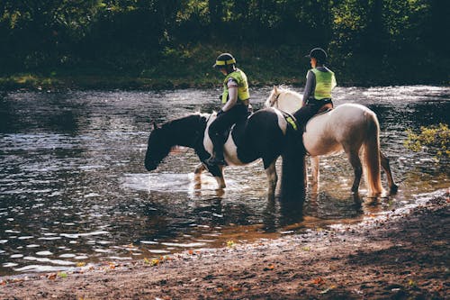 People Riding Horses on River