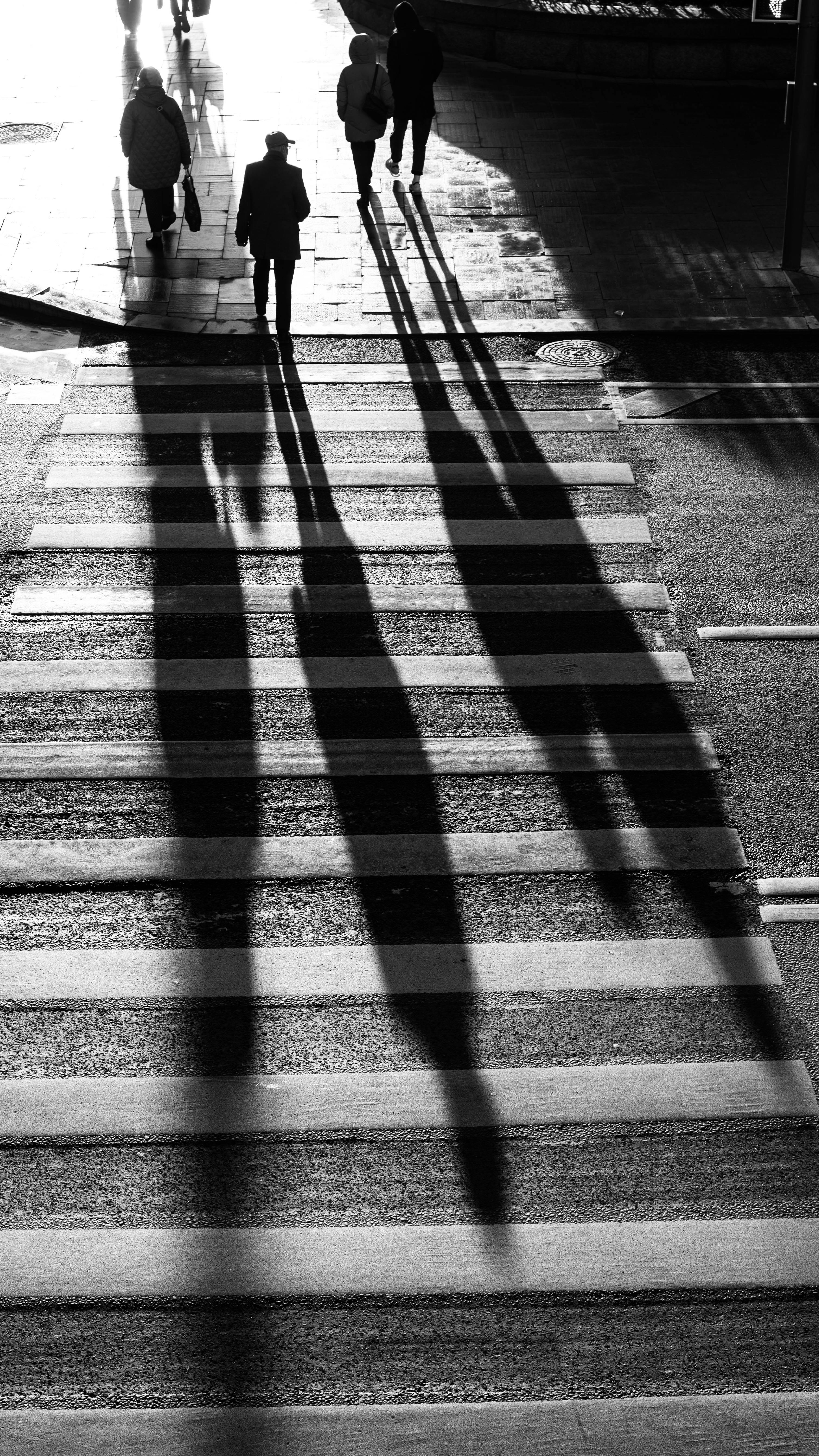 Silhouetted pedestrians casting long shadows on a city crosswalk in black and white.