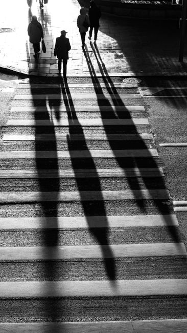 Silhouetted pedestrians casting long shadows on a city crosswalk in black and white.