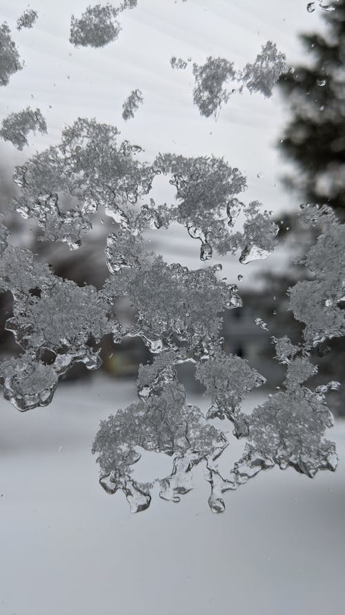 Free stock photo of crystal, heavy snow, snow crystal Stock Photo
