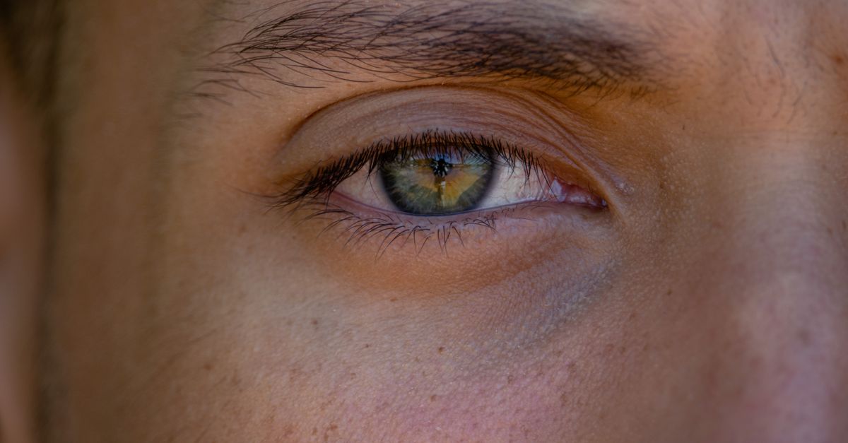 PimEyes : Recherche Visage IA Guide Utilisation