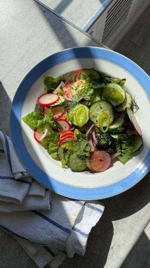 Free Vibrant cucumber and radish salad on a ceramic plate with a sunny backdrop. Stock Photo