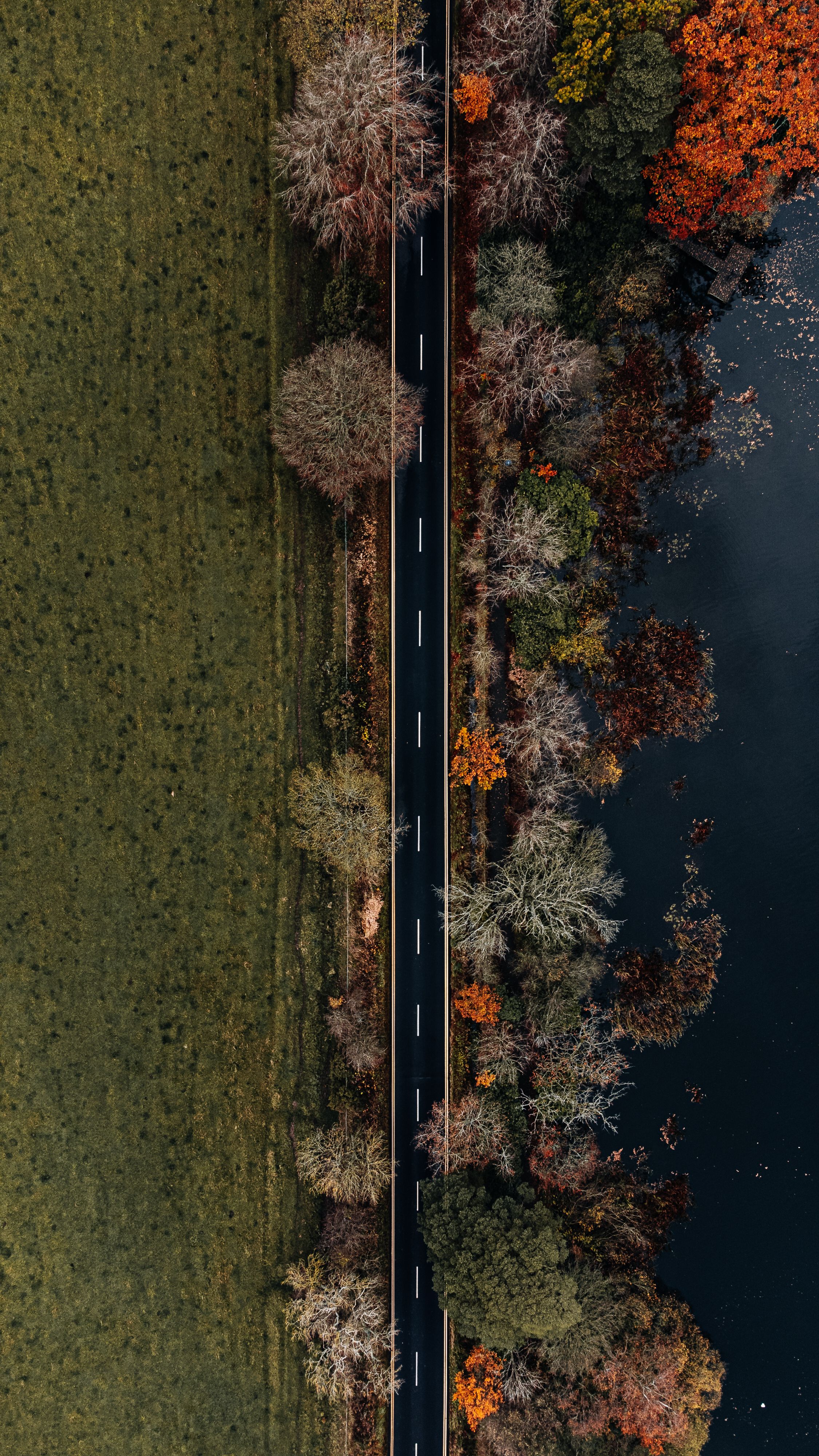 Drone shot capturing a road flanked by autumn trees and a water body in Bolam, England.