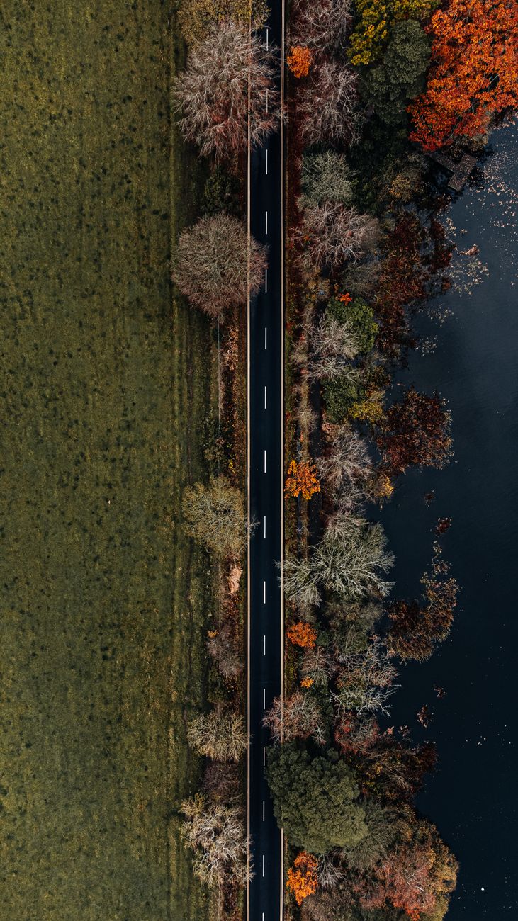 Drone shot capturing a road flanked by autumn trees and a water body in Bolam, England.