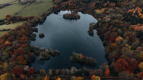 Kostnadsfri bild av drönarbilder, fågelperspektiv, Flygfotografering