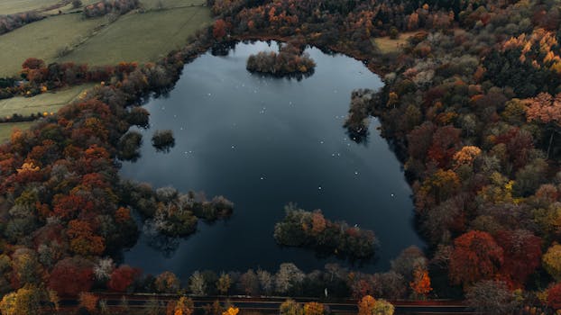 A stunning aerial view of a serene lake surrounded by vibrant autumn forest in Bolam, England.