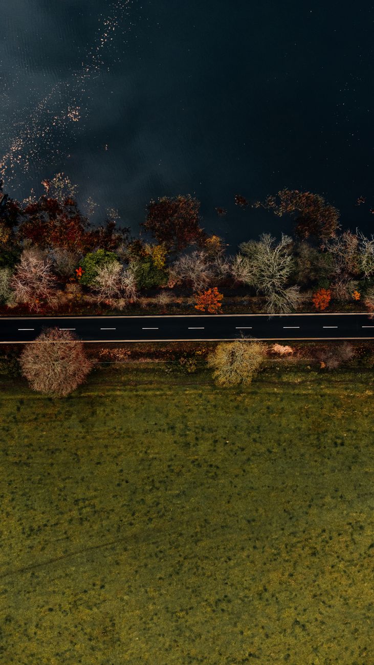 Stunning aerial shot capturing a road amidst vibrant autumn foliage and calm waters in Bolam.