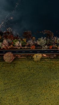 Stunning aerial shot capturing a road amidst vibrant autumn foliage and calm waters in Bolam.