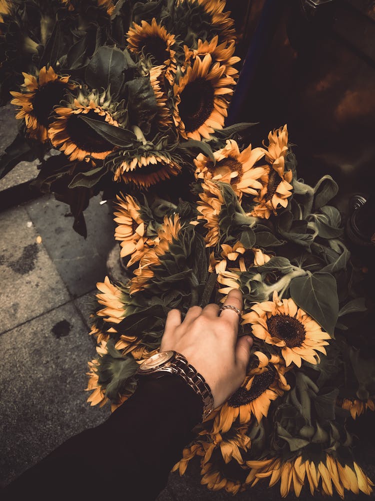 Woman Touching Sunflowers