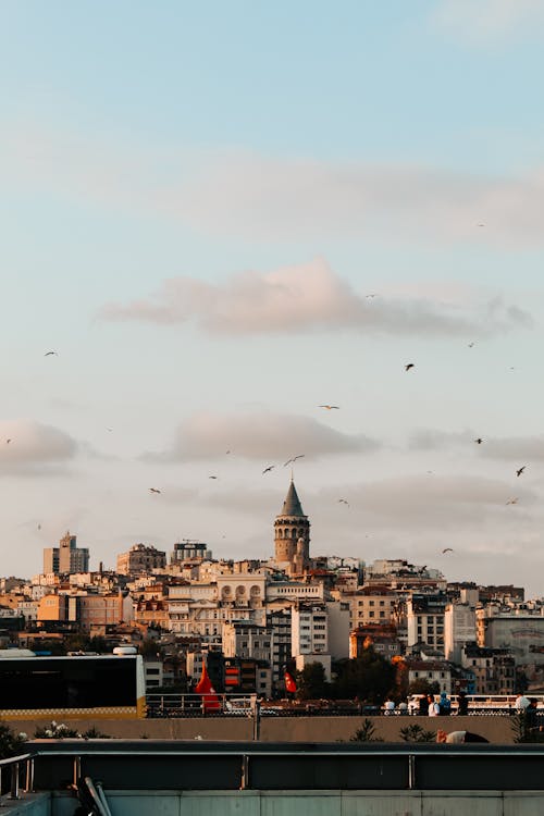 Základová fotografie zdarma na téma budovy, cestovní destinace, galata