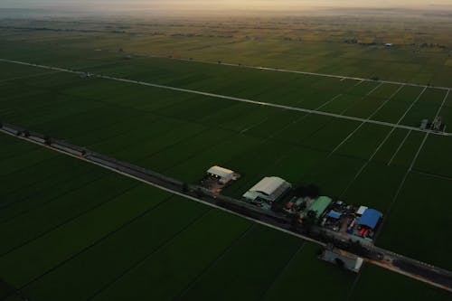Drone Shot of Houses and Rice Fields