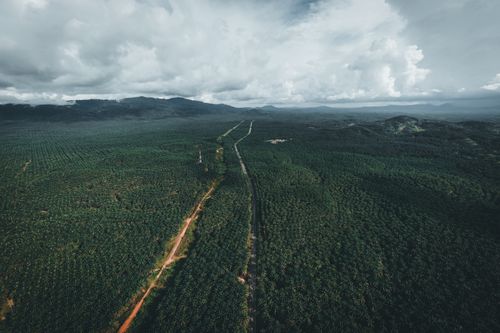 Free Expansive aerial view of lush forest in Chukai, Terengganu under an overcast sky. Stock Photo