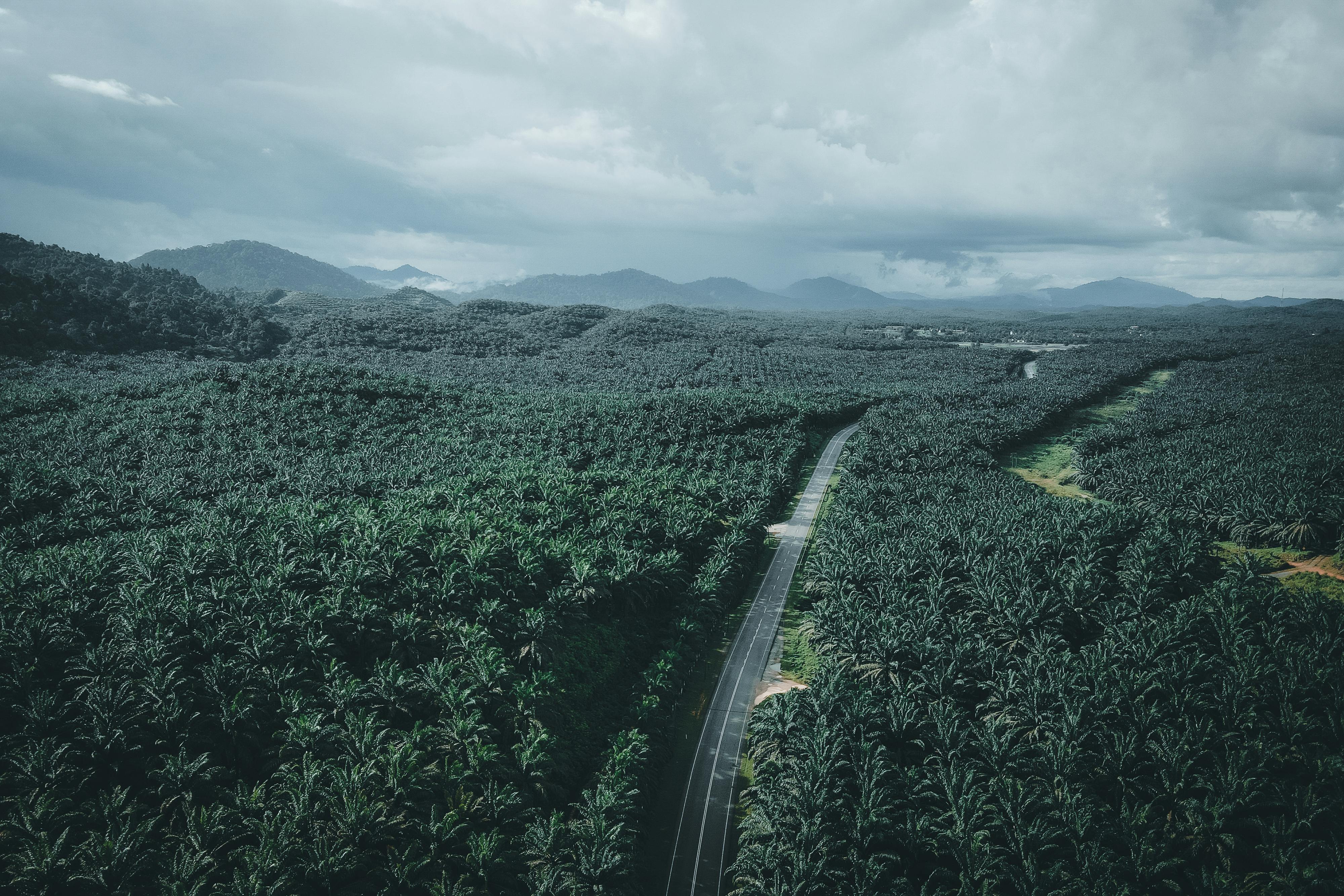 corporate governance esg governance part of esg — Photo by Pok Rie on Pexels