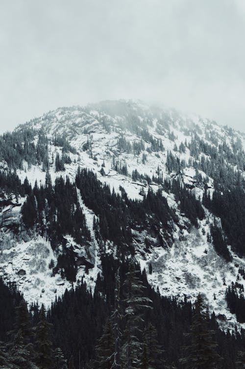 bezplatná Základová fotografie zdarma na téma hora, mlha, příroda Základová fotografie
