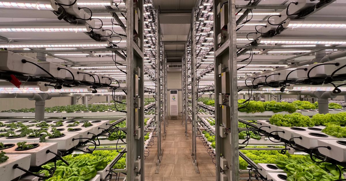 Khalifa University Deploys AI Agricultural Robots to Drive UAE Food Security